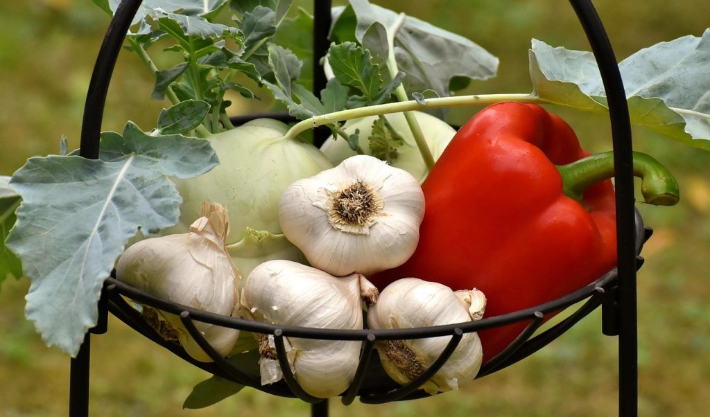 Een bord met kleurrijke groenten en gefermenteerde producten, goed voor het herstel van de darmgezondheid
