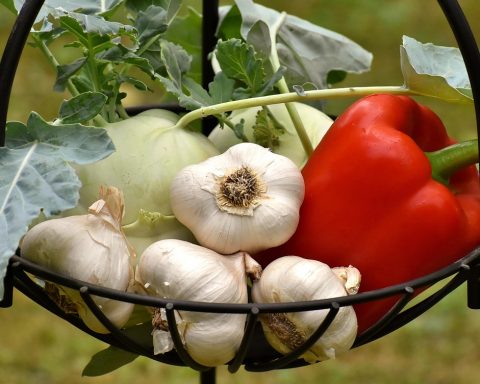 Een bord met kleurrijke groenten en gefermenteerde producten, goed voor het herstel van de darmgezondheid