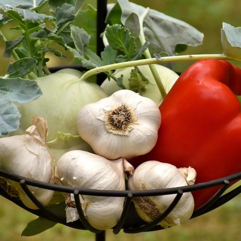 Een bord met kleurrijke groenten en gefermenteerde producten, goed voor het herstel van de darmgezondheid