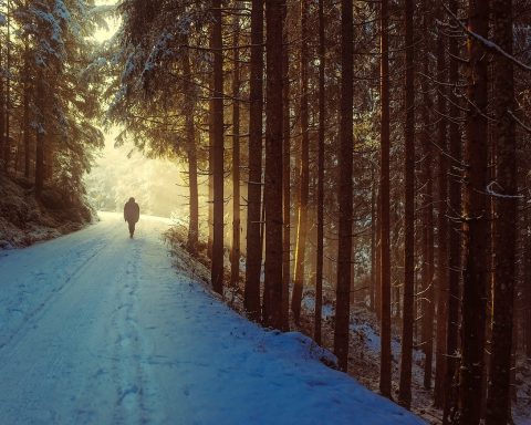 Persoon die buiten wandelt in de natuur als onderdeel van een gezonde leefstijl