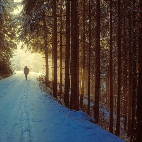 Persoon die buiten wandelt in de natuur als onderdeel van een gezonde leefstijl