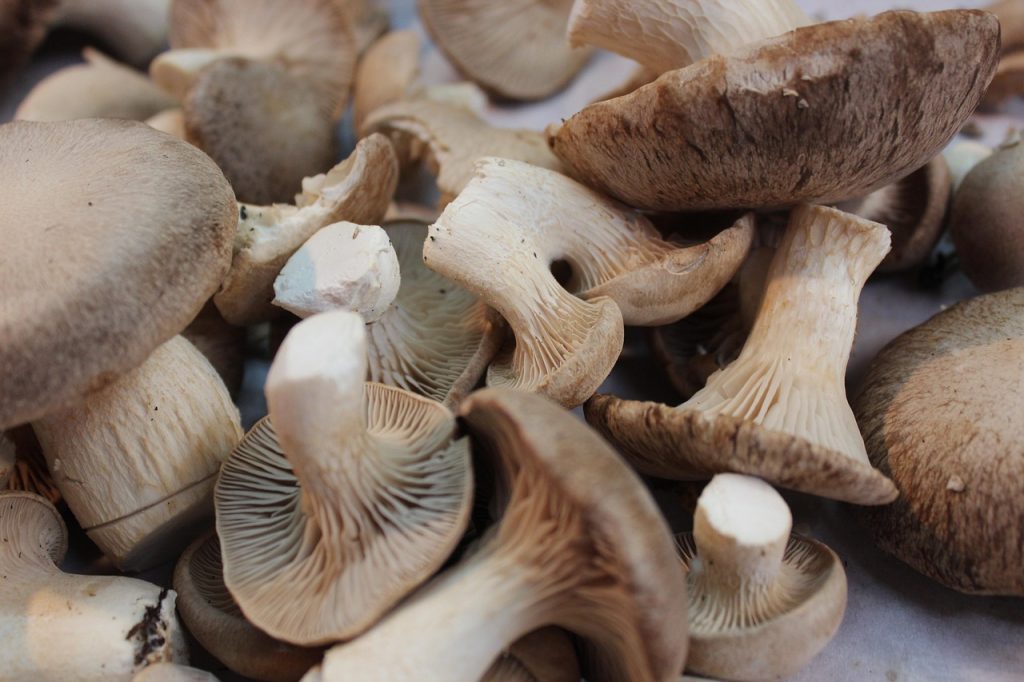 Kleurrijke herfstgroenten op een markt, waaronder pompoen, wortel en boerenkool
