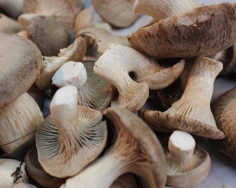 Kleurrijke herfstgroenten op een markt, waaronder pompoen, wortel en boerenkool