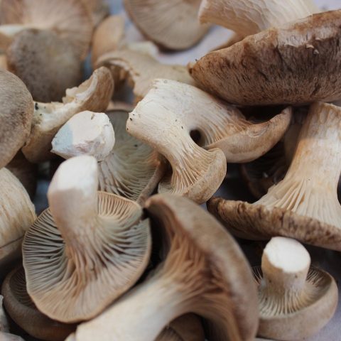 Kleurrijke herfstgroenten op een markt, waaronder pompoen, wortel en boerenkool