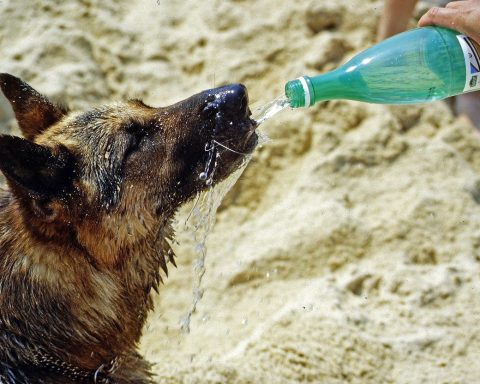 Persoon die een glas water drinkt op een warme zomerdag buiten
