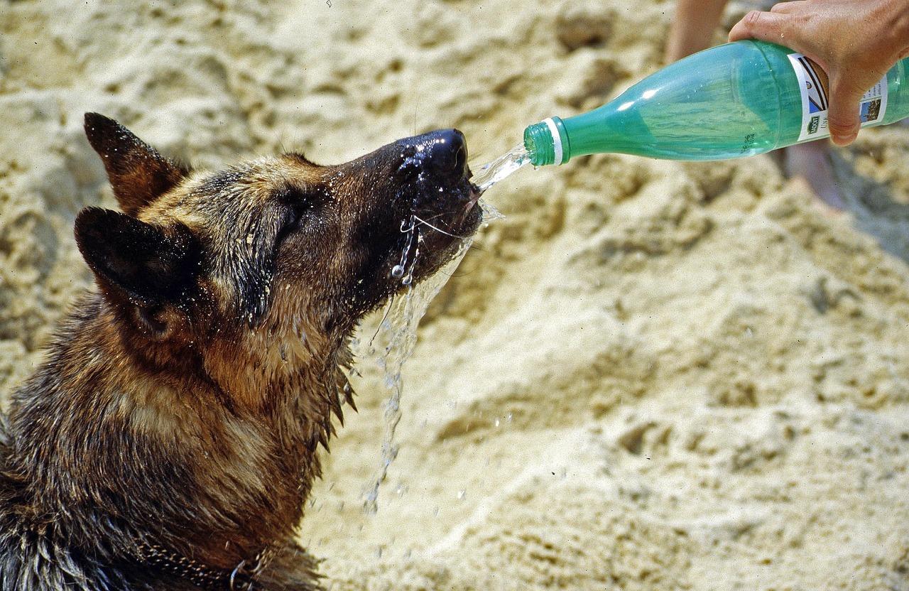 Persoon die een glas water drinkt op een warme zomerdag buiten