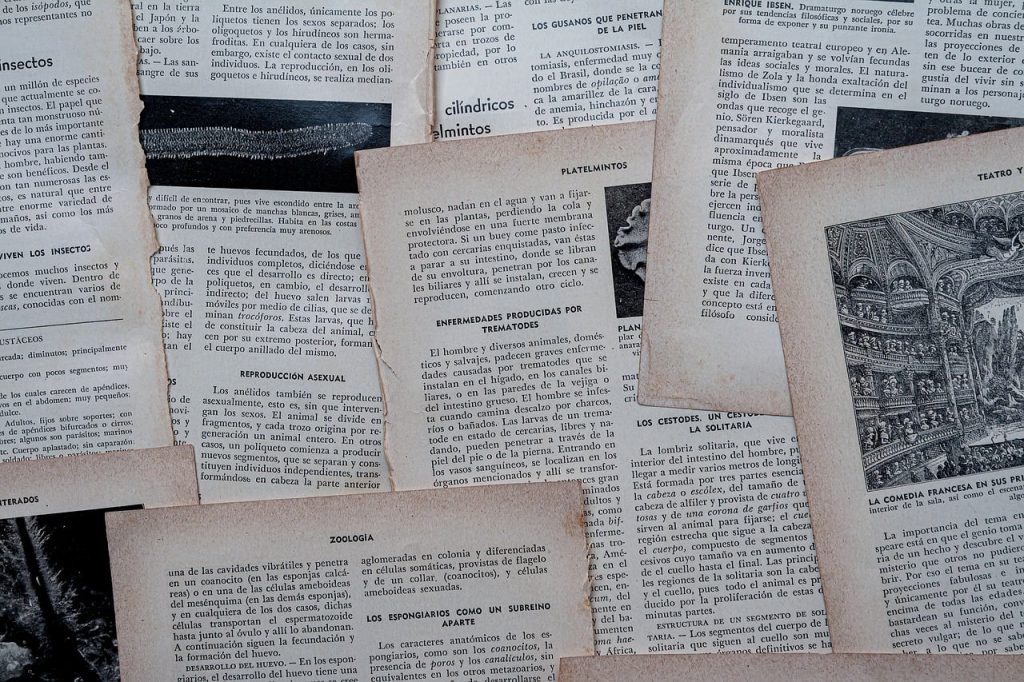 Een verpleegkundige leest aandachtig een pensioenoverzicht
