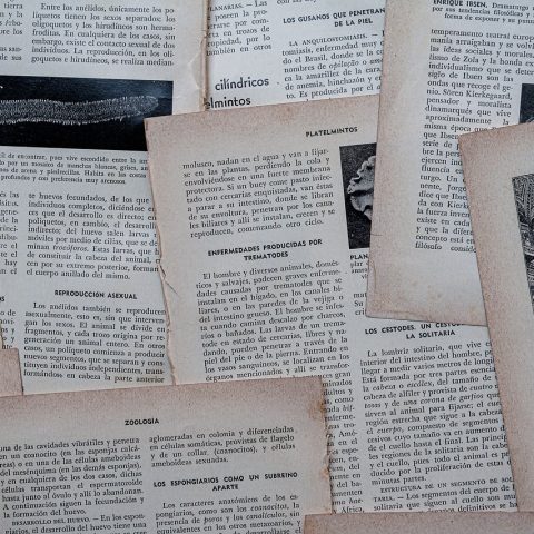 Een verpleegkundige leest aandachtig een pensioenoverzicht
